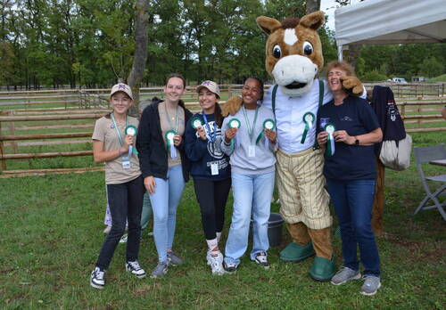 Description de l'image