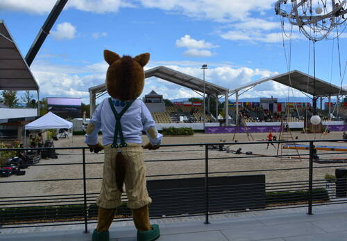 Description de l'image