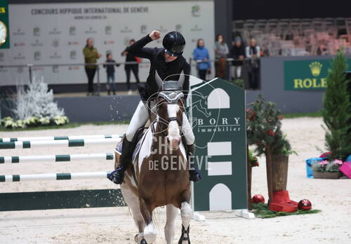 Description de l'image