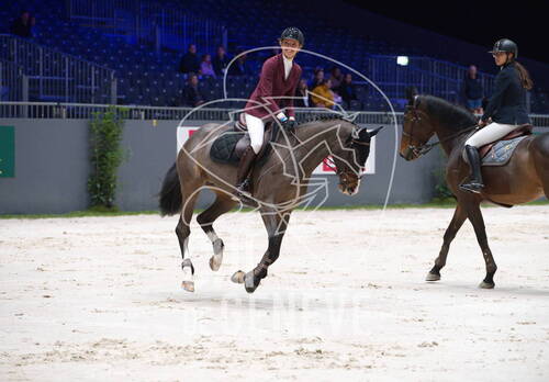 Description de l'image