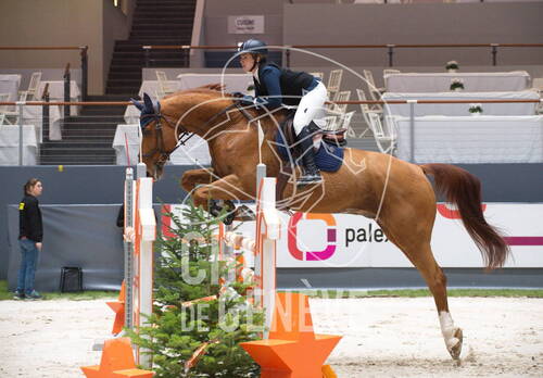 Description de l'image