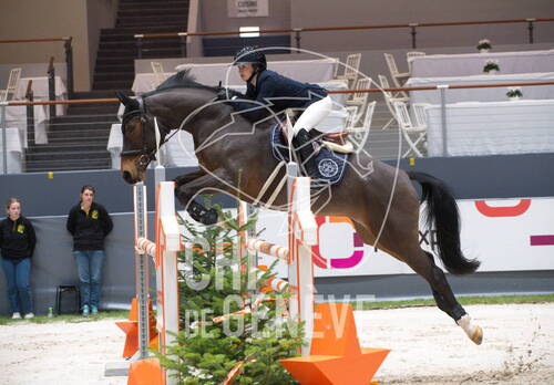 Description de l'image