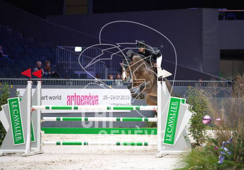 Description de l'image