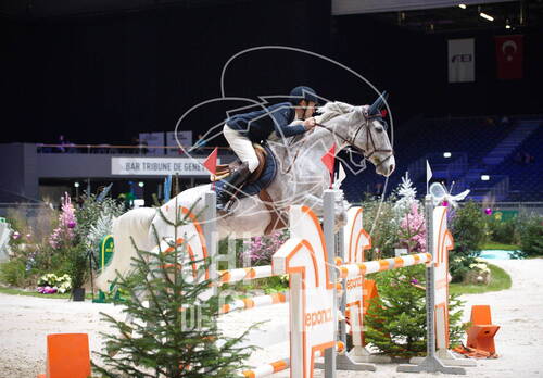 Description de l'image