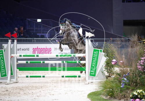 Description de l'image