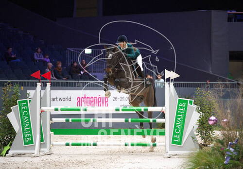 Description de l'image