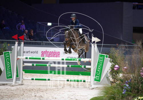 Description de l'image