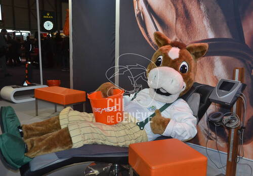 Description de l'image