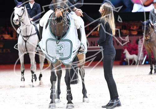 Description de l'image