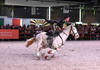 Spectacle equestre
CHIG_Palexpo Genève  08 décembre 2023