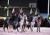 Spectacle equestre
CHIG_Palexpo Genève  08 décembre 2023