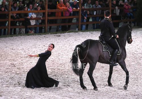 Spectacle equestre
CHIG_Palexpo Genève  08 décembre 2023