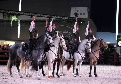 Spectacle equestre
CHIG_Palexpo Genève  08 décembre 2023