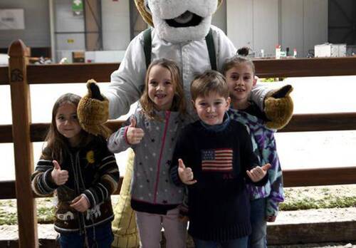 Dagz
Palexpo CHI Genève 10 décembre 2021