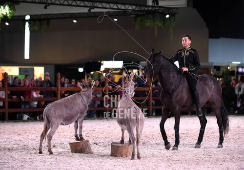 Spectacle equestre
CHIG_Palexpo Genève  08 décembre 2023