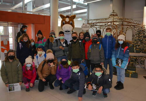 Description de l'image