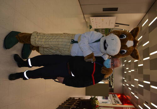 Description de l'image