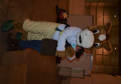 Description de l'image