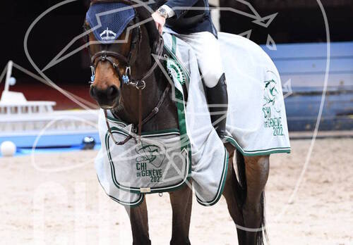 Description de l'image