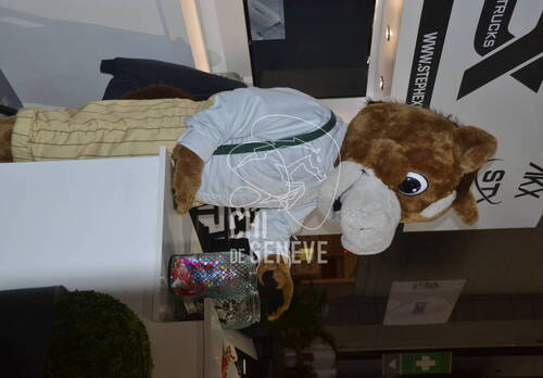 Description de l'image