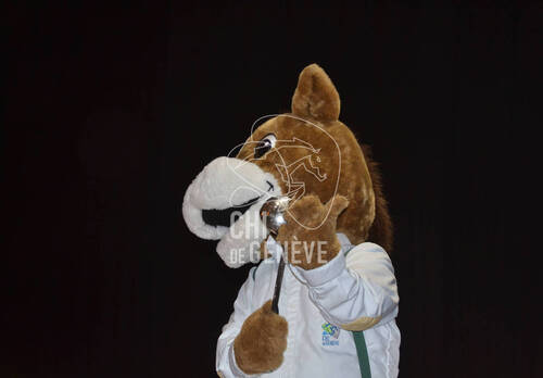 Description de l'image