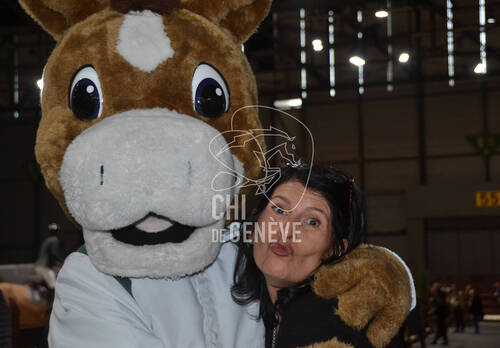 Description de l'image