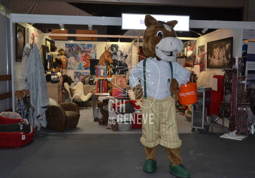 Description de l'image