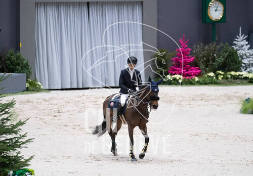 Description de l'image