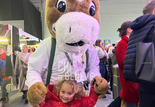 Description de l'image