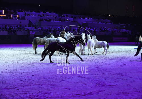 Optimized by JPEGmini 3.18.4.211163429-AP 0xe619be6f