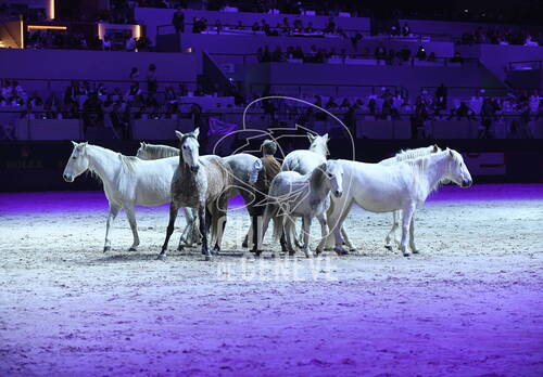 Optimized by JPEGmini 3.18.4.211163429-AP 0xb11f2743