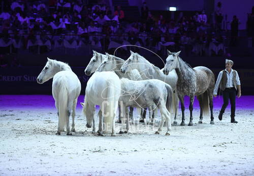 Optimized by JPEGmini 3.18.4.211163429-AP 0x8db2cdaa