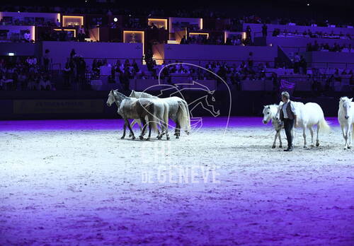 Optimized by JPEGmini 3.18.4.211163429-AP 0x785a2ebc