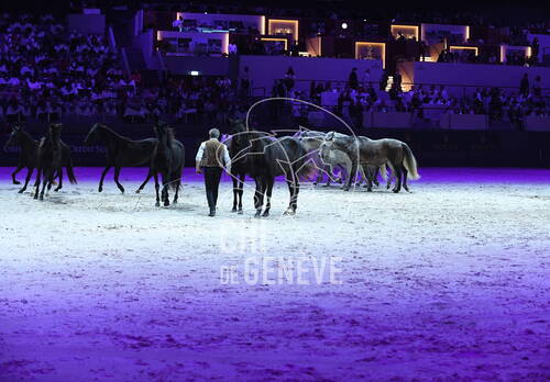 Optimized by JPEGmini 3.18.4.211163429-AP 0x7c5a295f