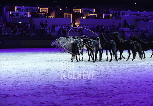 Optimized by JPEGmini 3.18.4.211163429-AP 0xc9523d4b