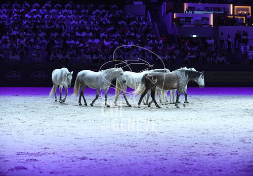 Optimized by JPEGmini 3.18.4.211163429-AP 0xd039b0cb