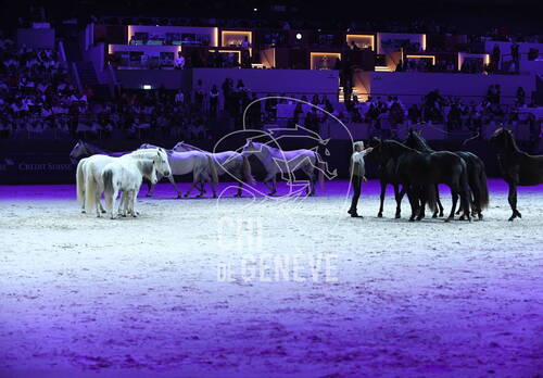 Optimized by JPEGmini 3.18.4.211163429-AP 0x9584f111