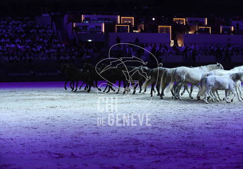 Optimized by JPEGmini 3.18.4.211163429-AP 0x6b898e36