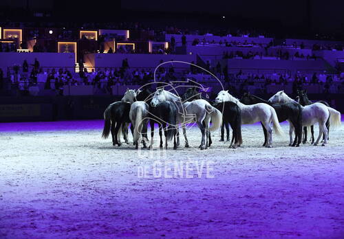 Optimized by JPEGmini 3.18.4.211163429-AP 0x9432ac69