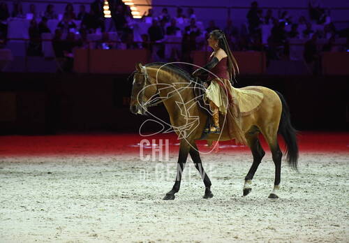 Optimized by JPEGmini 3.18.4.211163429-AP 0x58f2c2d7