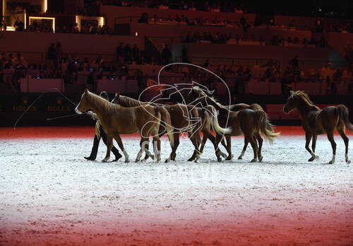 Optimized by JPEGmini 3.18.4.211163429-AP 0x9118e5fe