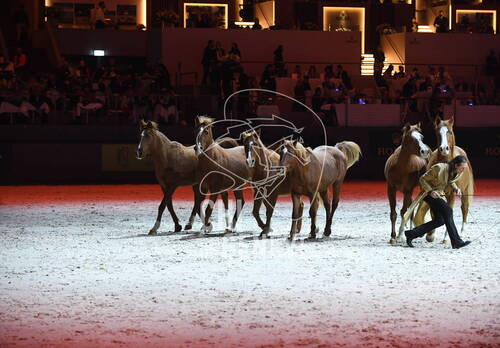 Optimized by JPEGmini 3.18.4.211163429-AP 0xbb5dae35