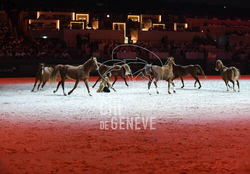 Optimized by JPEGmini 3.18.4.211163429-AP 0x678df99b