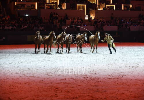 Optimized by JPEGmini 3.18.4.211163429-AP 0x0dd55457