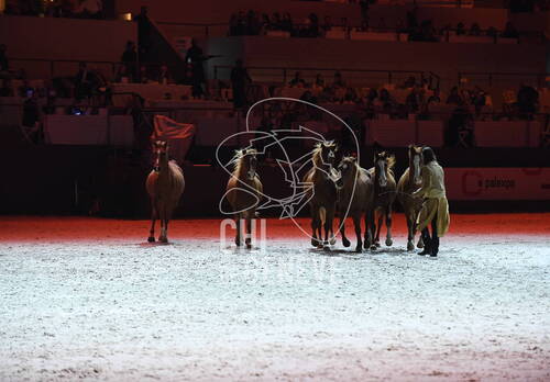 Optimized by JPEGmini 3.18.4.211163429-AP 0x43f7cbd4