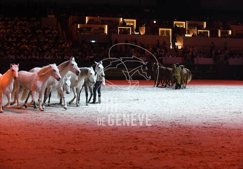 Optimized by JPEGmini 3.18.4.211163429-AP 0xe9a79ece