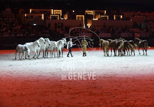 Optimized by JPEGmini 3.18.4.211163429-AP 0xe9d366cf