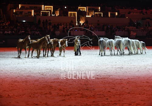 Optimized by JPEGmini 3.18.4.211163429-AP 0x16591a6d