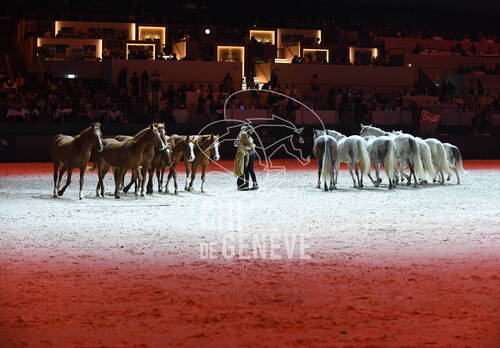 Optimized by JPEGmini 3.18.4.211163429-AP 0xb06a0cd8