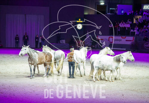 Optimized by JPEGmini 3.18.4.211163429-AP 0xb1a2a9c4